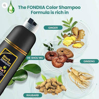 Unisex Instant Black Herbal Hair Dye Shampoo for Grey Hair Coverage Shampoo 3 in 1(100ml) Pack Of 2 - NEXTLEVEL 